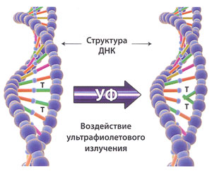Технология УФ обеззараживания