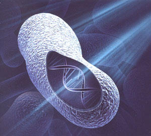 Технология УФ обеззараживания